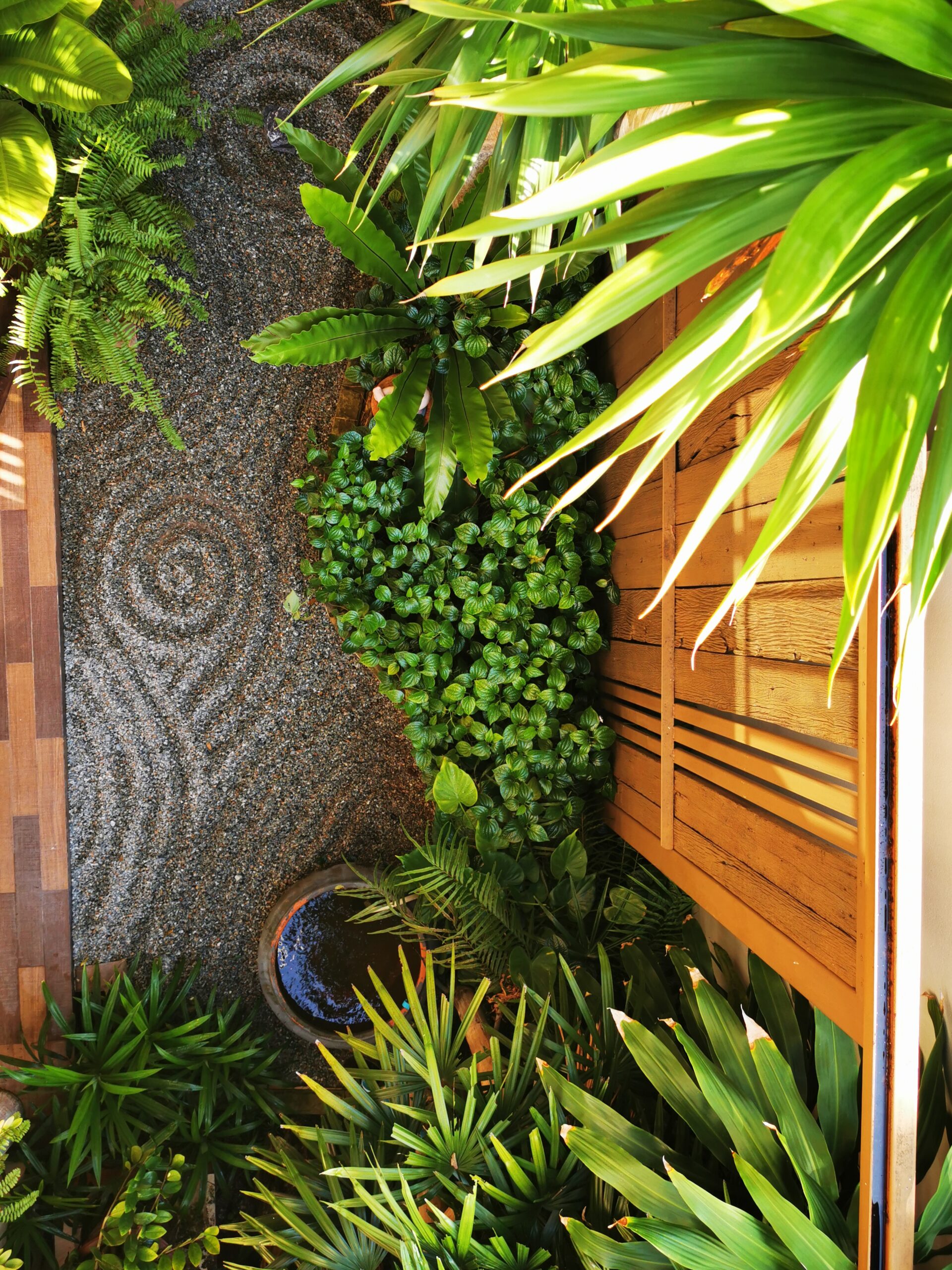 Zen Garden